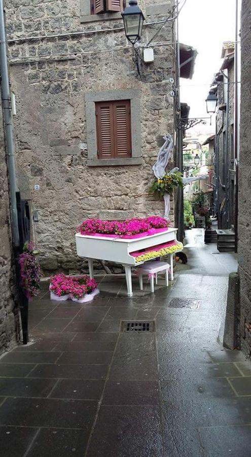 Sospesi Nel Borgo فيتورشيانو المظهر الخارجي الصورة